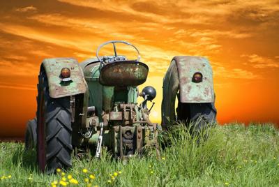 梦见麦田麦子绿油油我过不去怎么办