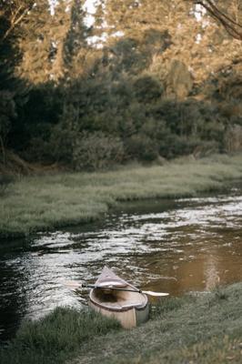梦到妈妈到河里捡猪头什么意思