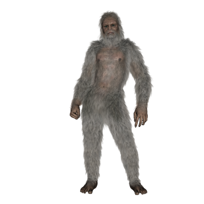 怪物猎人世界名字大全，游戏怪物与角色名称解析