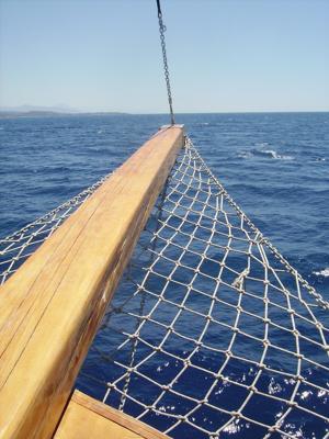 工位养鱼的风水有什么讲究，从风水学角度看五行平衡的吉风水景推荐