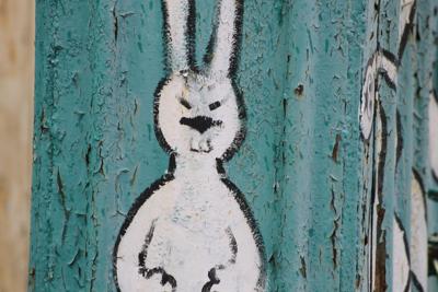 1975年属兔人去哪个方向比较顺利？属兔人方向选择对运势的影响