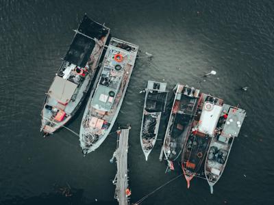 双鱼座的财运，双鱼座2023年财运分析