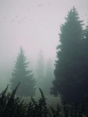 梦到山体滑坡躲过一劫