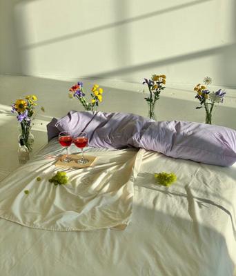 卧室养花风水大忌，卧室五行调和的养花建议