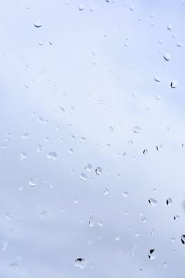 锦鲤养几条好及五行风水分析，五行风水养锦鲤数目建议