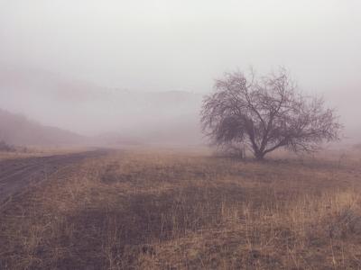 梦见被雾包围了