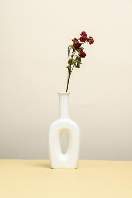 客厅花瓶摆放哪好，客厅摆放花瓶摆件好不好呢