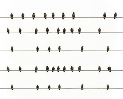 西北角阳台风水设计，户型方位与五行相生相克指南