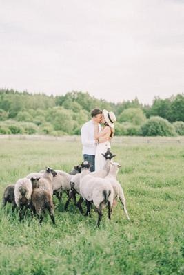 已婚女性梦见五颜六色的羊