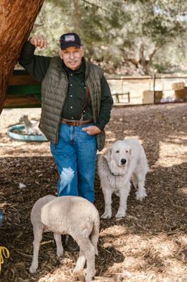 94年属狗和95年属猪配，生肖配对相性分析