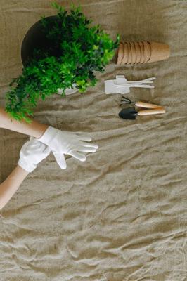 梦见挖竹笋什么预兆