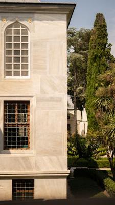 罗汉松庭院适合放在哪里，从风水八字角度分析罗汉松庭院摆放位置