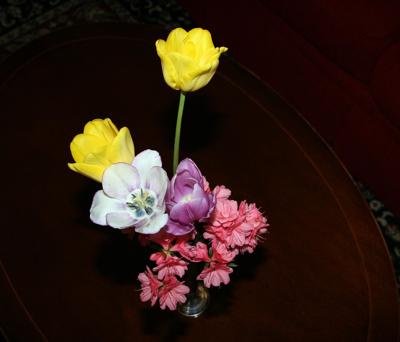 客厅花盆什么颜色风水好，花盆颜色最忌三种颜色