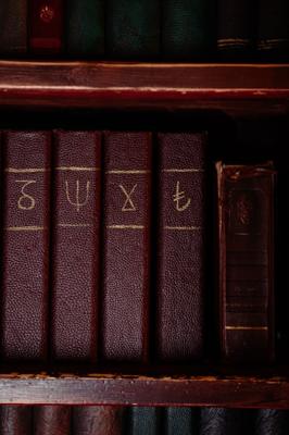 桦字五行属什么，桦字五行属性详解及寓意