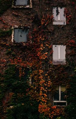 自家房子比左右两边邻家凹风水好吗