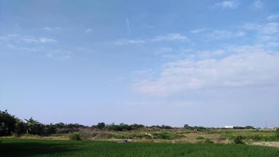 祖坟东边和西边，方位风水学解析祖坟风水影响家族运势