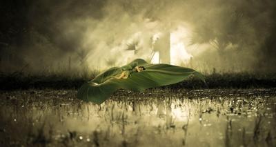 梦见别人在埋死人