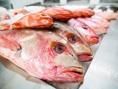 梦见很多肉和鱼是什么意思