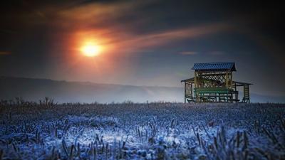 梦见稻谷是什么预兆