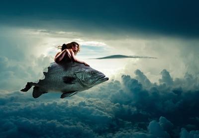 孕妇梦见买海鱼的意思