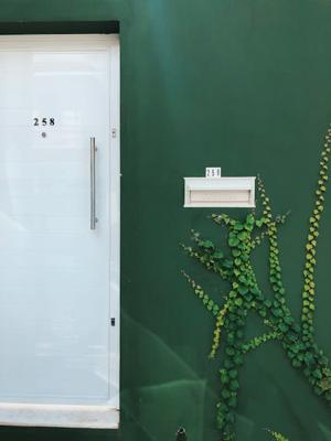 办公室门口放什么植物风水好，办公室门口植物风水补全建议