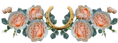 楚辞有典故的双胞胎名字，诗经里最惊艳双胞胎名字