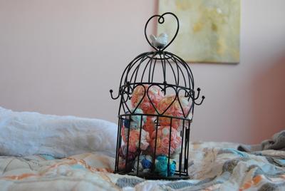 梦见自己屋子里有一窝小鸟的意思