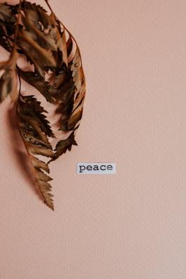 平安平安的寓意，平安的美好寓意解析