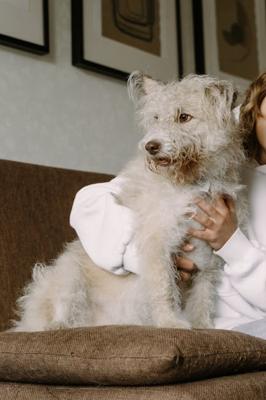 1982年属狗女是什么命，1982年属狗女性星座运势解析