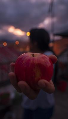 梦见摘苹果是什么意思