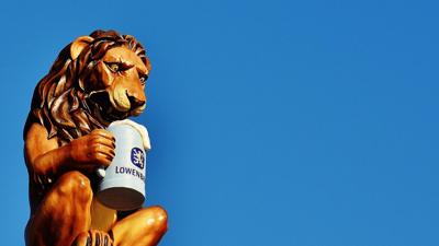 狮子座2024年的全年运势最新详解，狮子座21年的运势