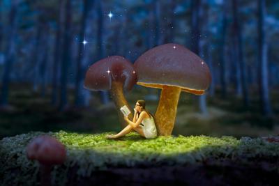 梦见采蘑菇好多蘑菇什么寓意