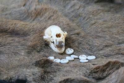 属龙的和属羊的合财吗，属龙的人财运在什么方位