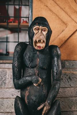 属猴的女人佩戴什么招财，属猴的女人佩戴什么吉祥物