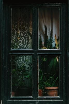 进门玄关挂什么画好风水有讲究，进门玄关挂什么画最好风水