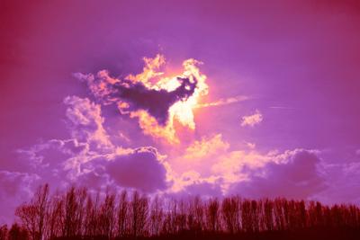 梦见黑龙在天上飞