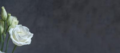 天蝎座男的十大特点，揭秘天蝎座男性独特魅力