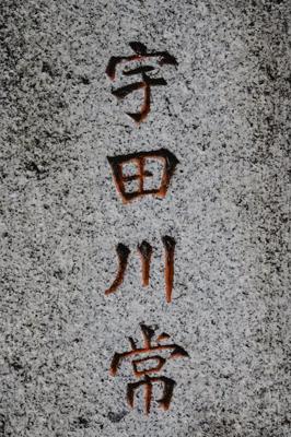 龙的取名辰字，姓名龙，带有辰的名字