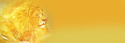 狮子座的幸运颜色，点亮你的运势与个性