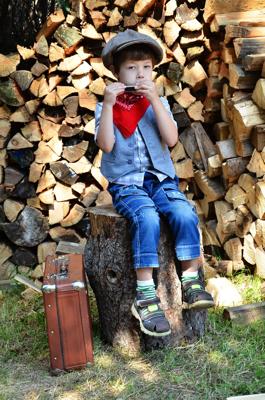 陈姓带木字旁男孩取名，陈氏带木旁好听的男孩名字