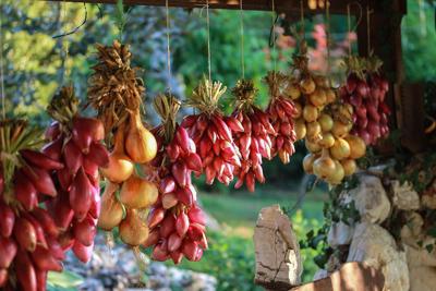 梦见前夫送红枣给我