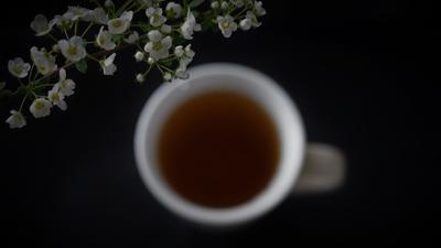 有诗意的茶的名字，诗意有韵味的茶叶名字大全集