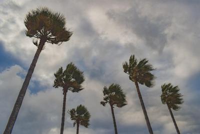 西户好还是东户好的五大理由，从风水与五行解析居住方位吉凶