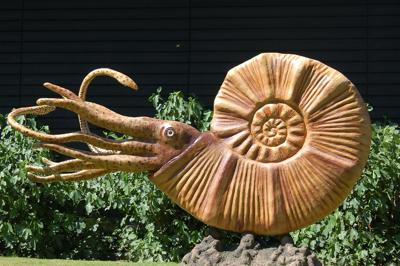 巨蟹座是几月几号到几月几号，巨蟹座男生的性格