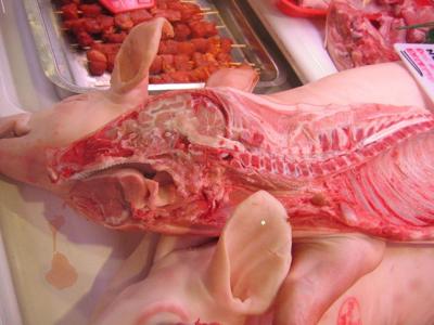 梦见大鱼大肉饭随便吃