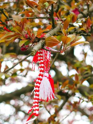 红枫在庭院风水寓意，红枫风水摆放的吉祥之选