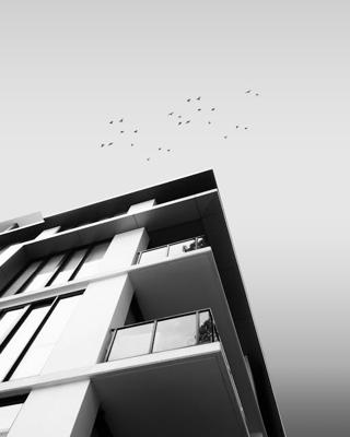 租房风水怎么看财运，从风水布局中看五行八字运势解析