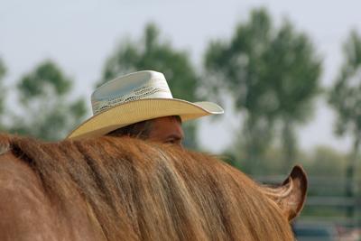 马和双鱼座的性格特点，属马的双鱼座与什么配