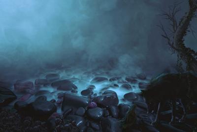 梦见泥鳅是什么预兆