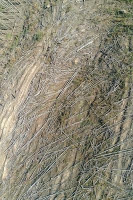 装修地面风水的讲究，地面风水布局注意事项